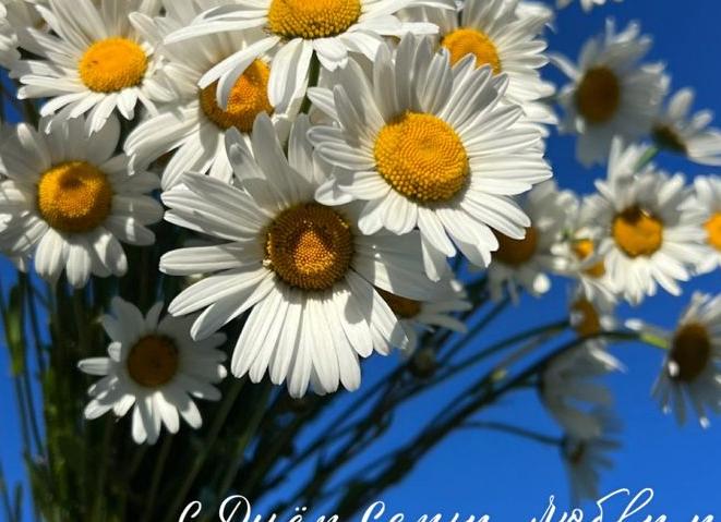 С днем семьи любви и верности любимому